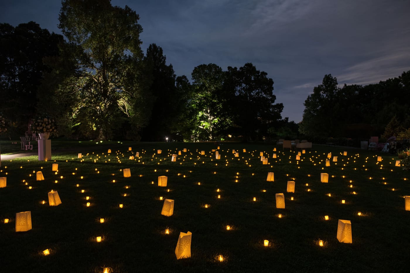 Paper lanterns scattered across a lawn at night